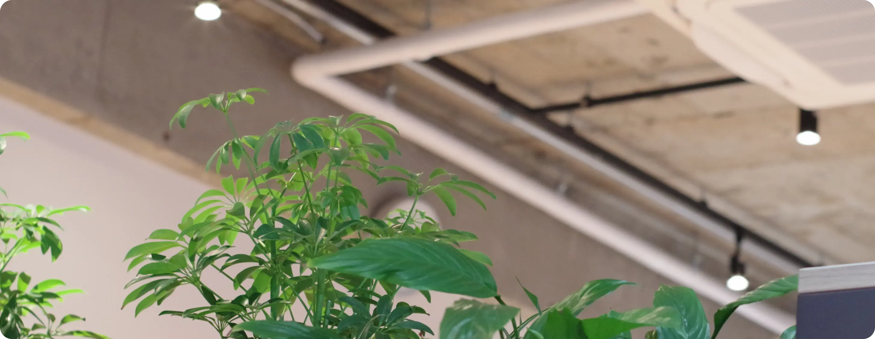 ラーゲイト株式会社